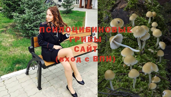 мет Пересвет