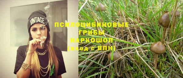 мет Пересвет