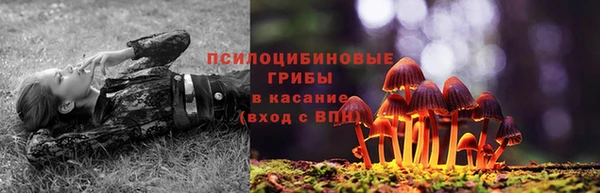 герыч Пестово